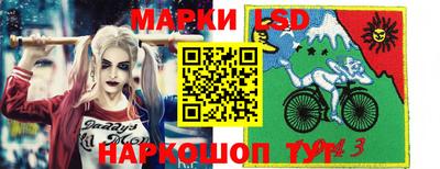 spice Аргун