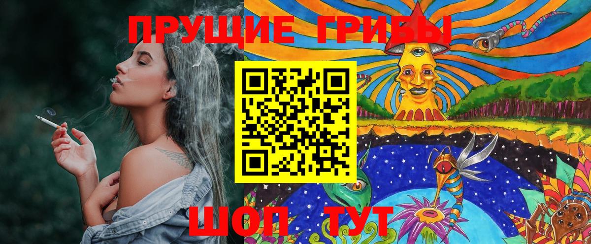 Псилоцибиновые грибы GOLDEN TEACHER Великие Луки