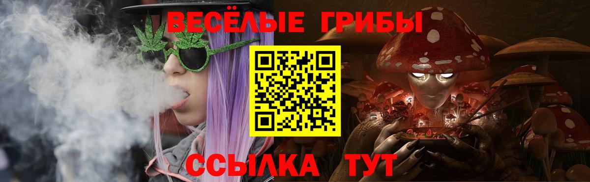 Великие Луки  Псилоцибиновые грибы Psilocybine cubensis  Вход с VPN  Псилоцибиновые грибы прущие грибы 